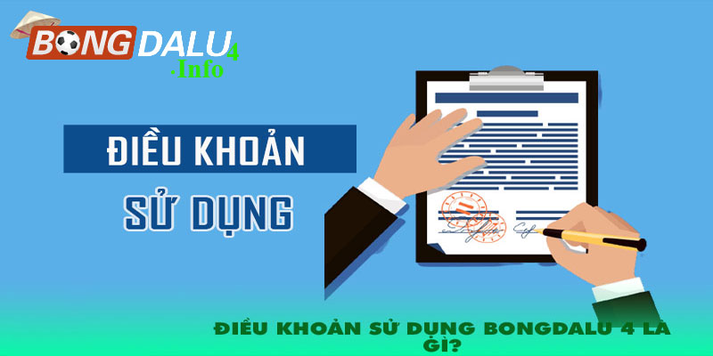 Giới thiệu chung về điều khoản sử dụng bongdalu4